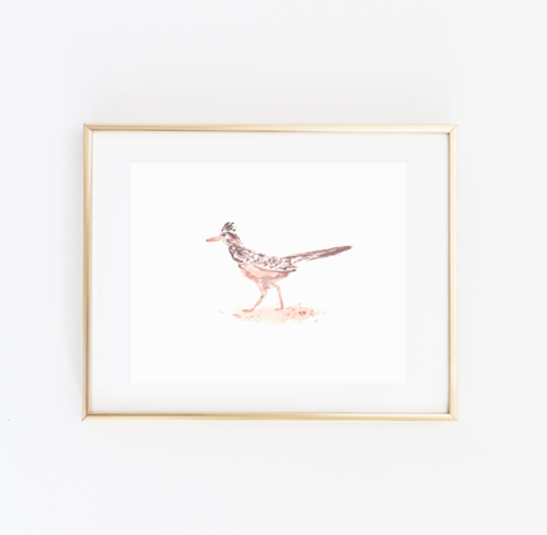 Roadrunner Art Print-SQ0580734