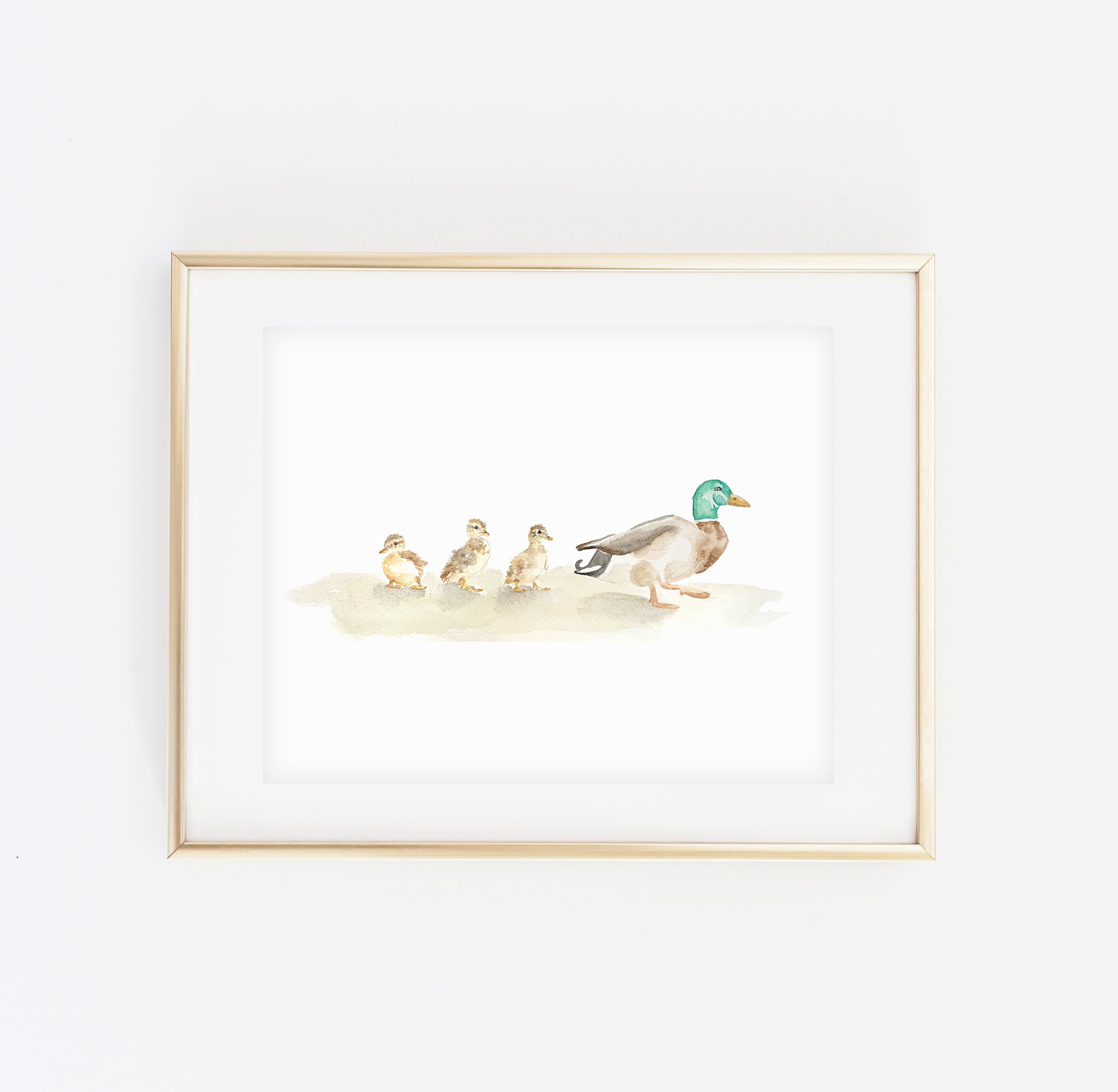 Mallard Duck Art Print